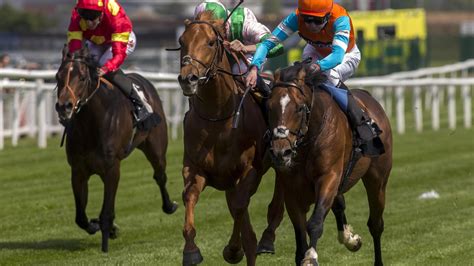 Yarmouth Racecourse, Results & Racecards .
